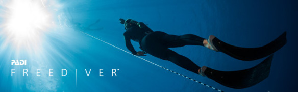 freediver header